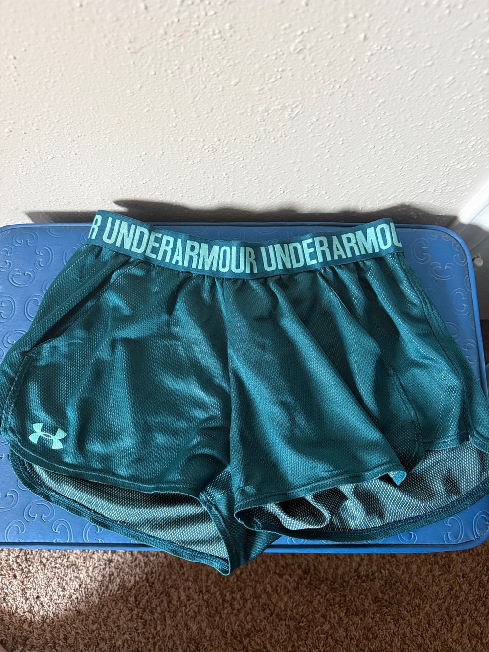 Under Armour Teal Mesh Performance Shorts
